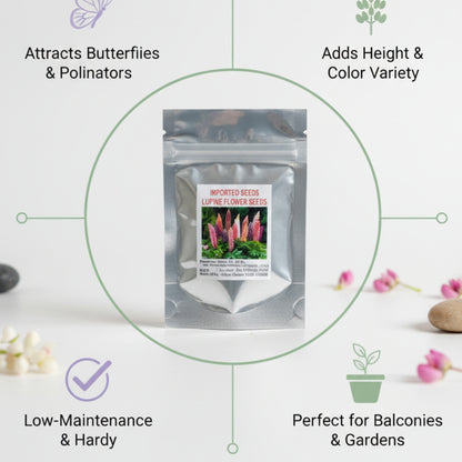 Lupine Bloom Flower Seeds