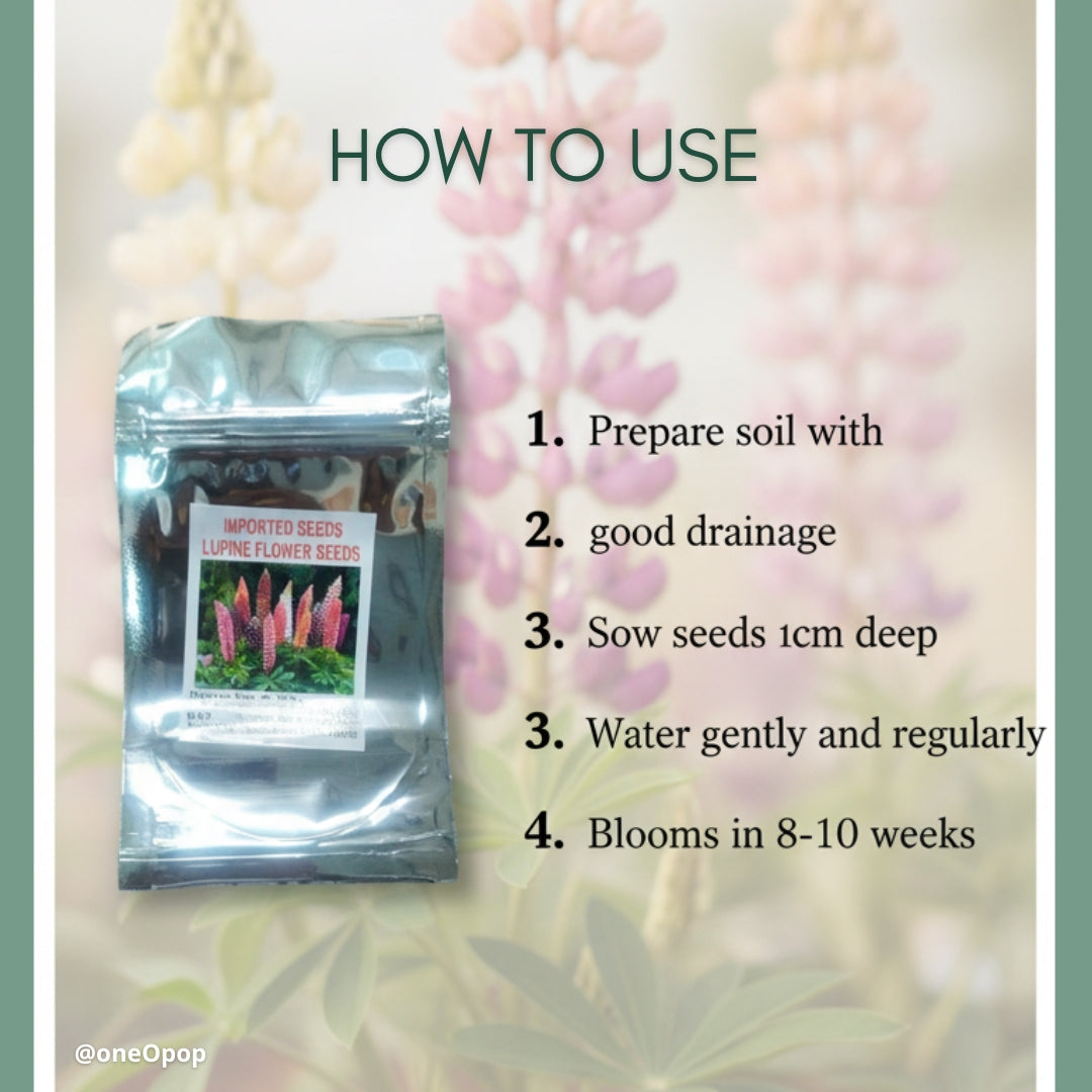 Lupine Bloom Flower Seeds