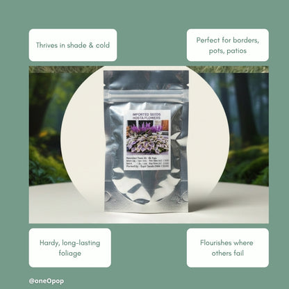 ShadowBloom Hosta Seeds