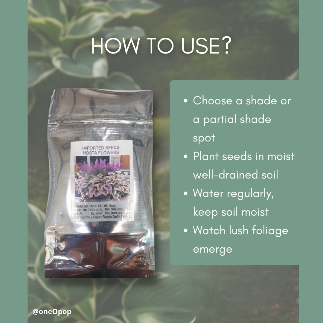 ShadowBloom Hosta Seeds