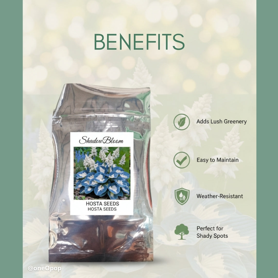 ShadowBloom Hosta Seeds